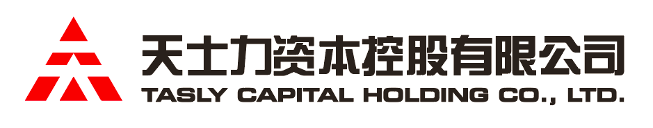 NG电子资本控股有限公司